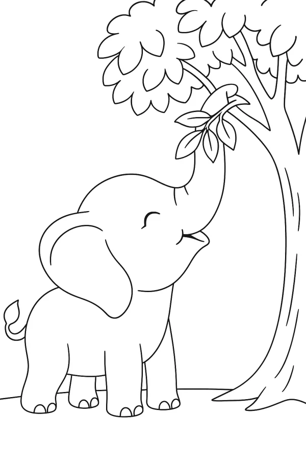 Elefante