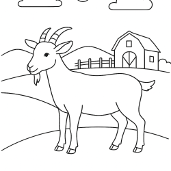 Fazenda