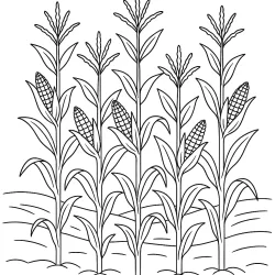 Fazenda para imprimir e colorir