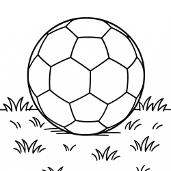 Futebol