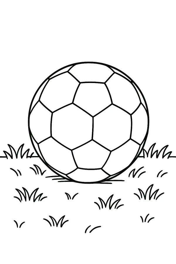 Futebol