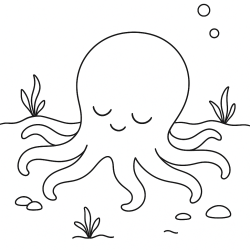 Polvo