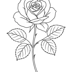 Flor para imprimir e colorir