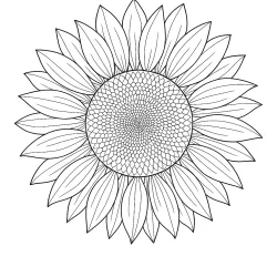 Flor para imprimir e colorir
