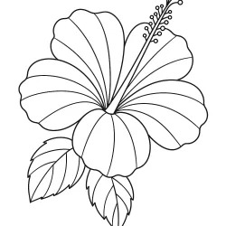 Flor para imprimir e colorir