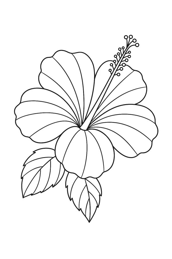 Flor