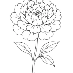 Flor para imprimir e colorir