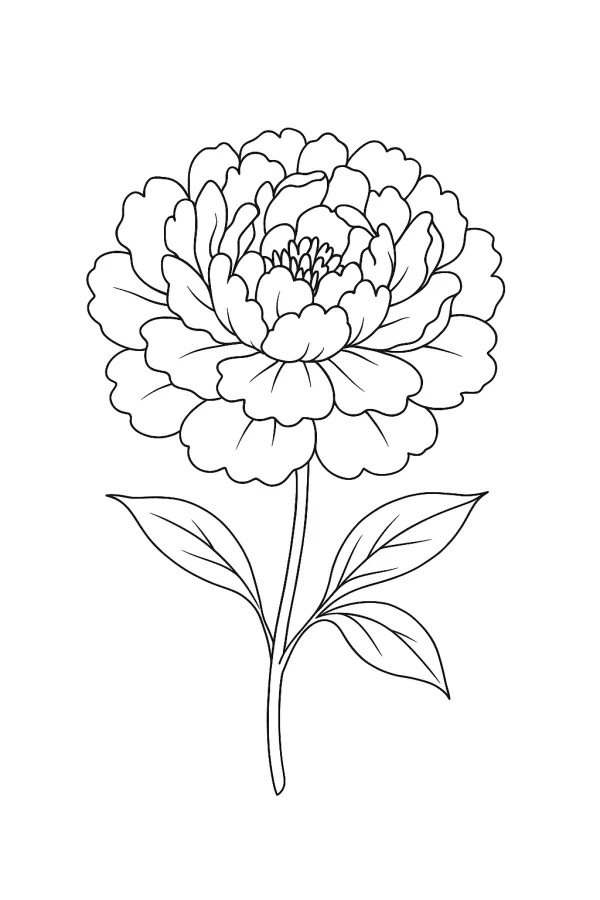 Flor