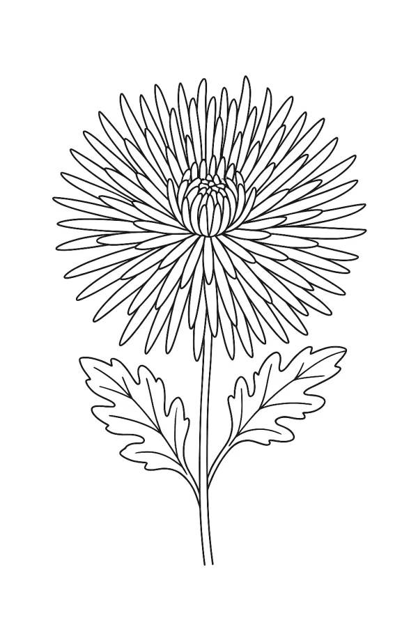Flor