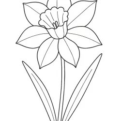 Flor para imprimir e colorir