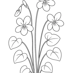 Flor para imprimir e colorir