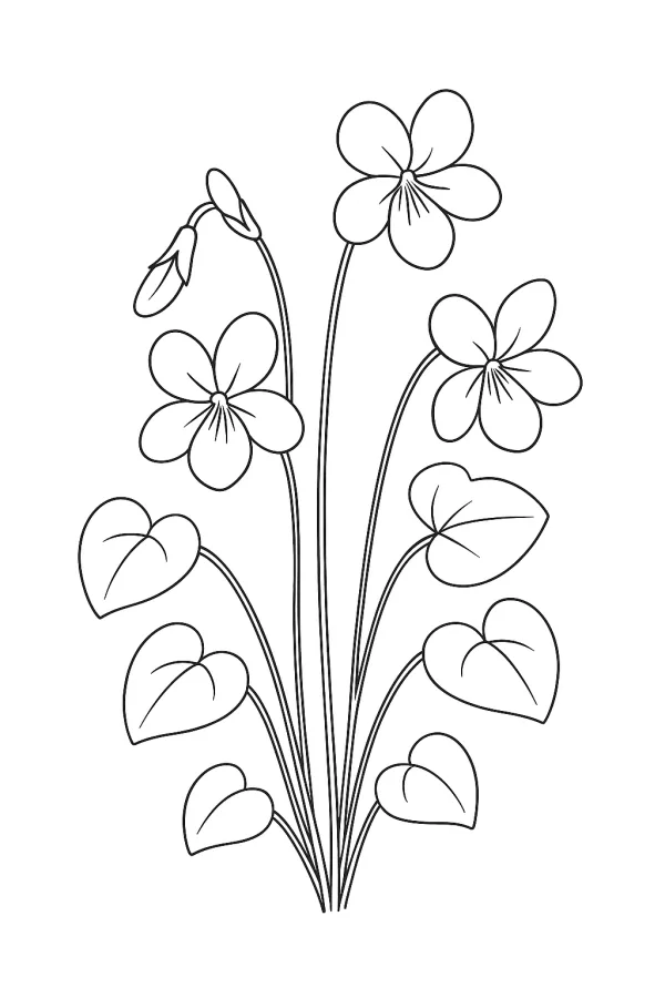Flor