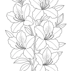 Flor para imprimir e colorir