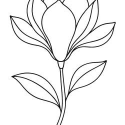 Flor para imprimir e colorir