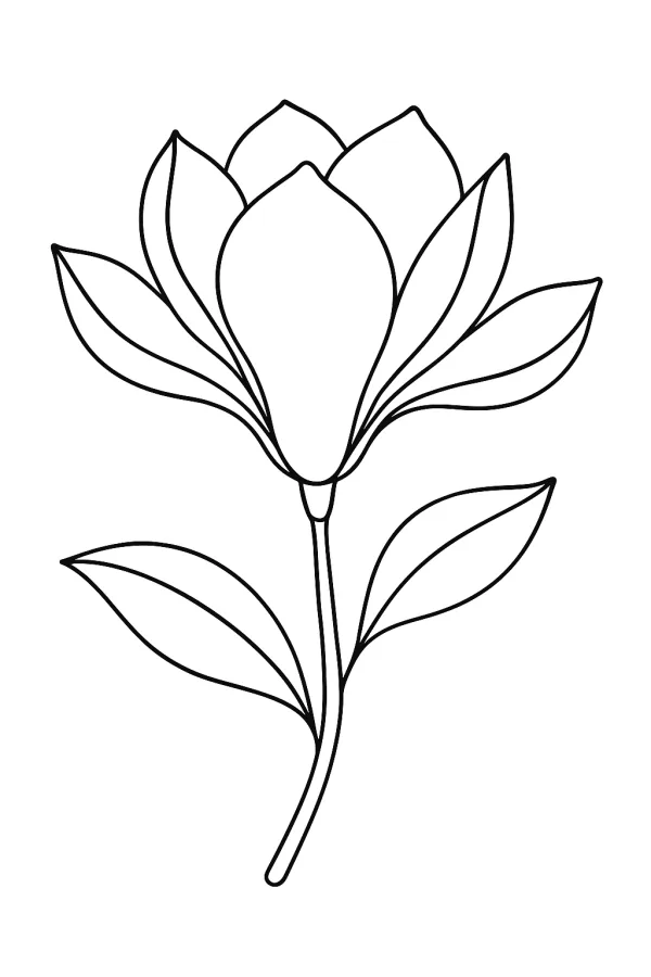 Flor