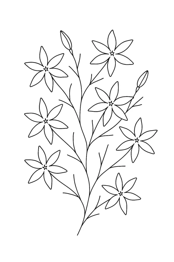 Flor