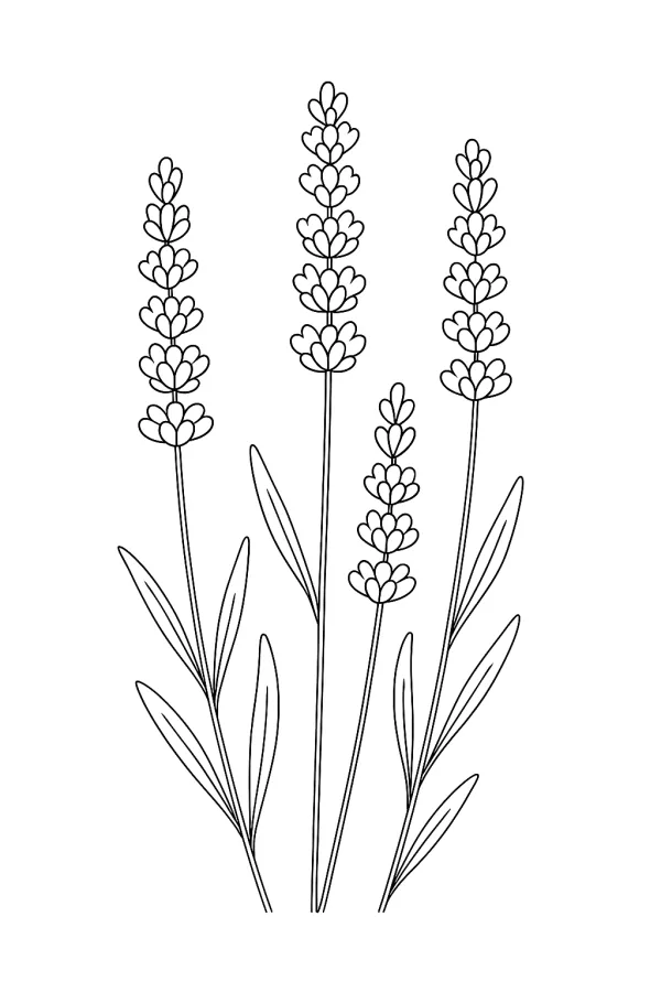 Flor