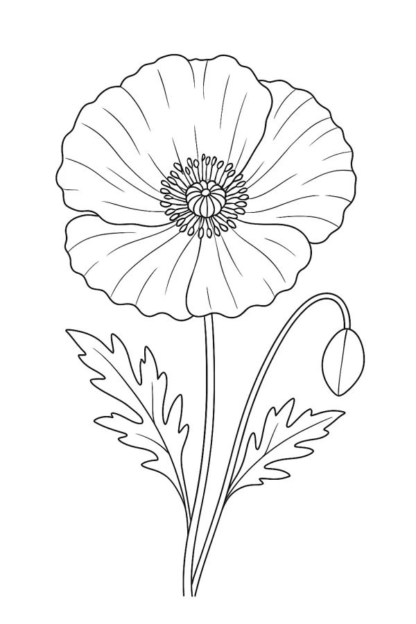 Flor