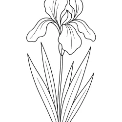 Flor para imprimir e colorir