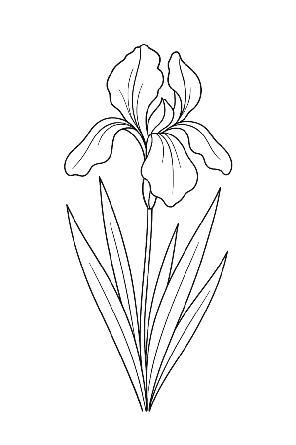 Flor