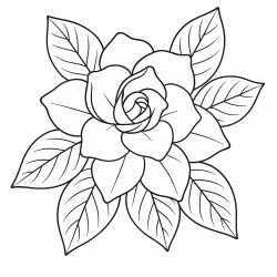 Flores