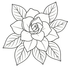 Flor para imprimir e colorir