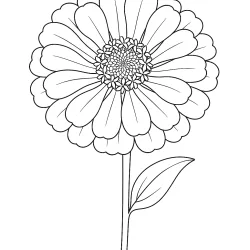 Flor para imprimir e colorir