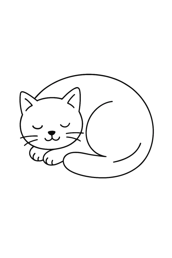 Gato