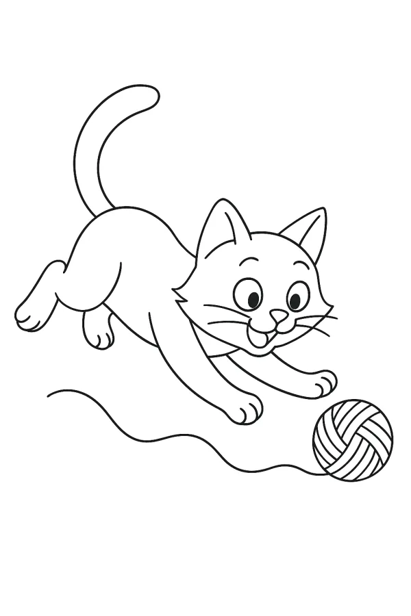 Gato
