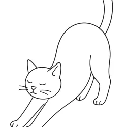 Gato para imprimir e colorir