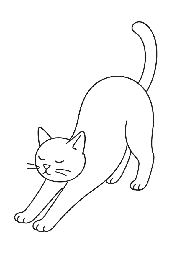Gato