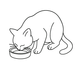 Gatos