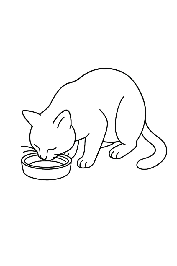 Gato