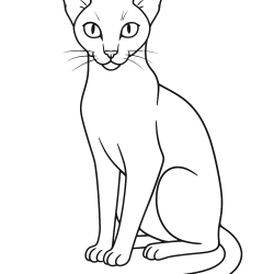 Gatos
