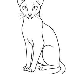 Gato para imprimir e colorir