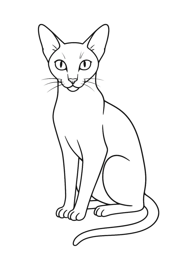 Gato