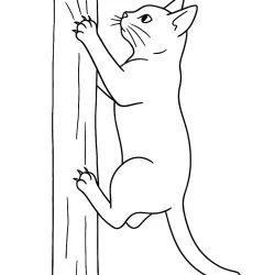 Gato para imprimir e colorir