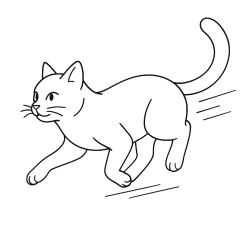 Gatos