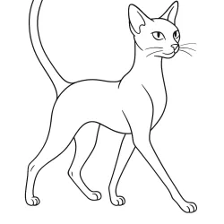 Gato para imprimir e colorir