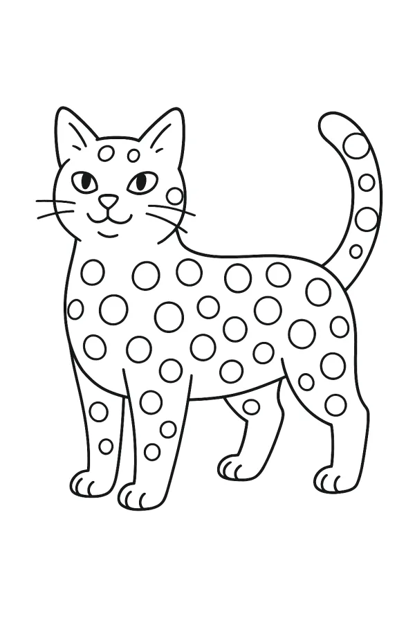 Gato