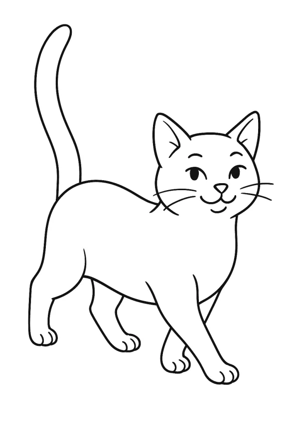 Gato