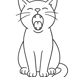 Gatos