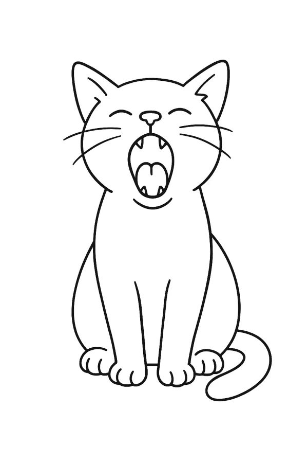 Gato