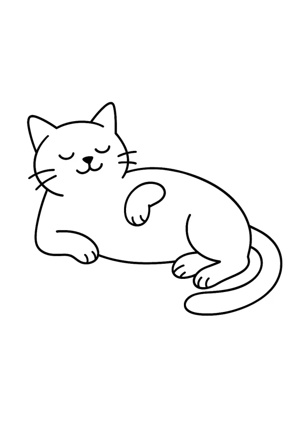 Gato