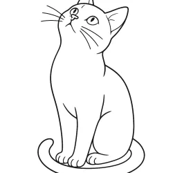 Gato para imprimir e colorir