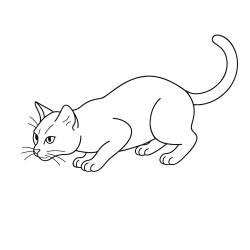 Gatos
