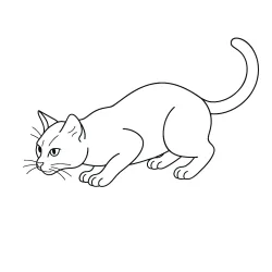 Gato para imprimir e colorir