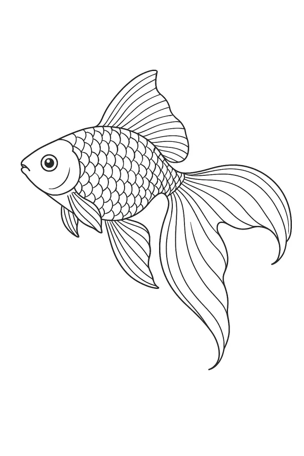 Peixe