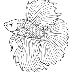 Peixe para imprimir e colorir