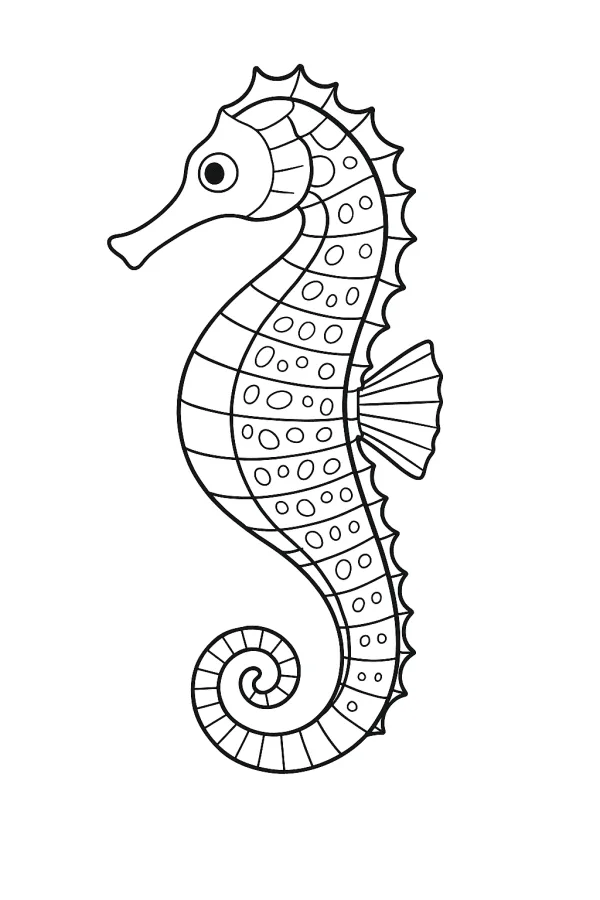 Peixe